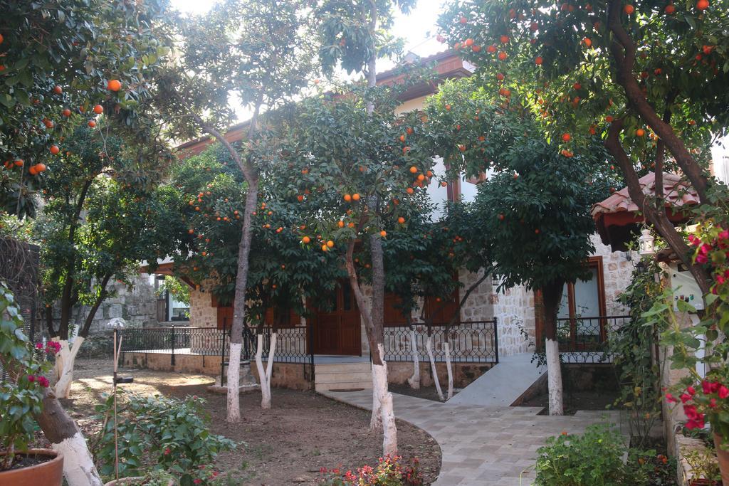 Citrus Garden Hotel Antalya Extérieur photo